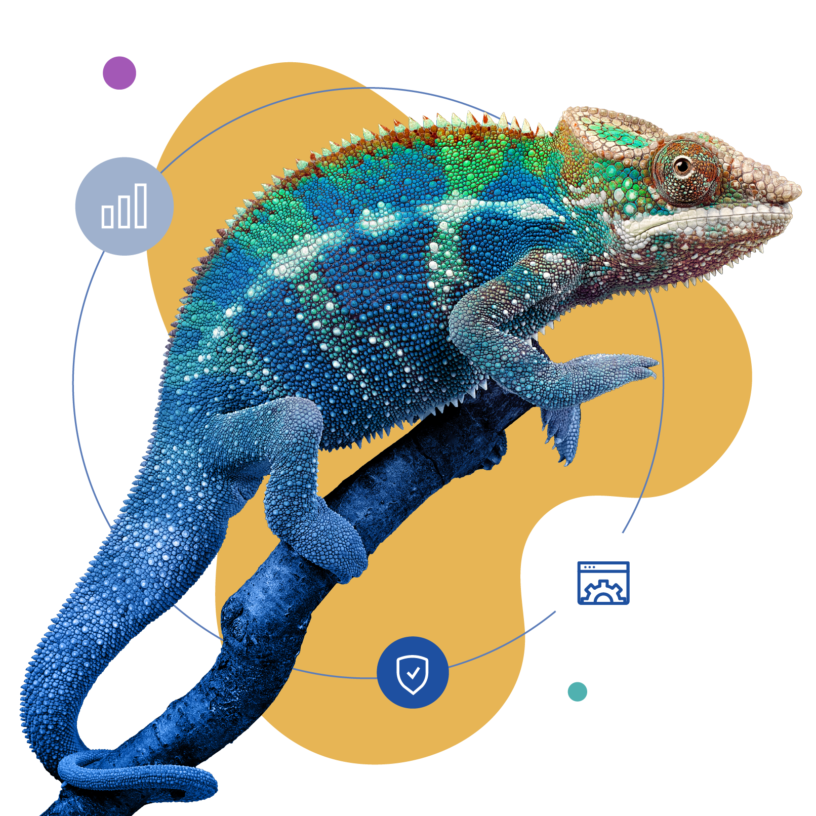 Pro-adaptability-Whitepaper-image-2